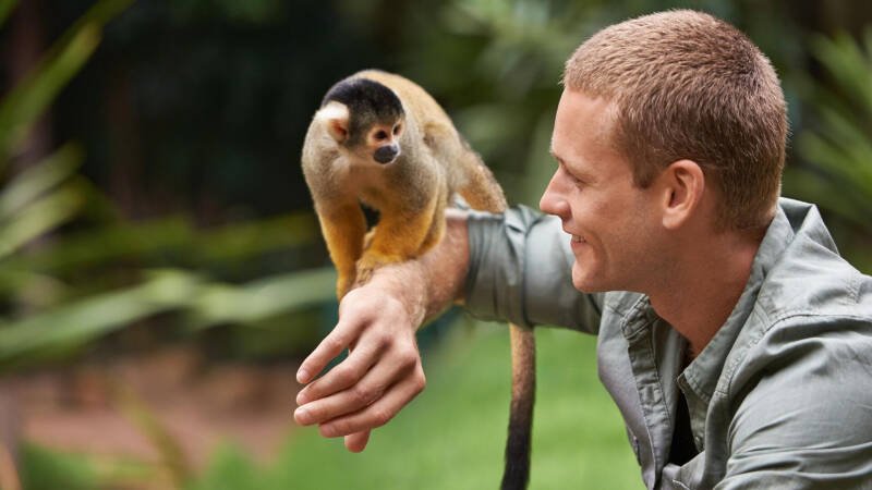 Невролог назвал продукты, улучшающие работу мозга