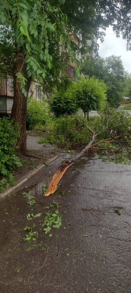 Ливень в Челябинской области размыл дороги и повредил урожай. Онлайн-трансляция