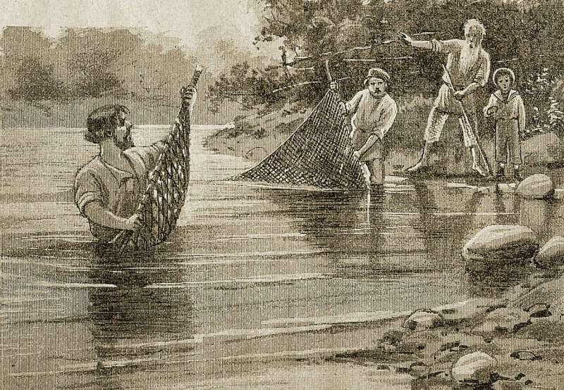 &laquo;Едим каких-то инфузорий&raquo;