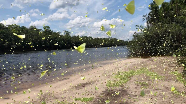 Лучшая рыбалка в России: где найти рекордный улов