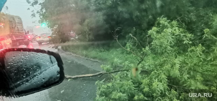 Ураган затопил челябинские дороги и вырвал деревья. Фото, видео