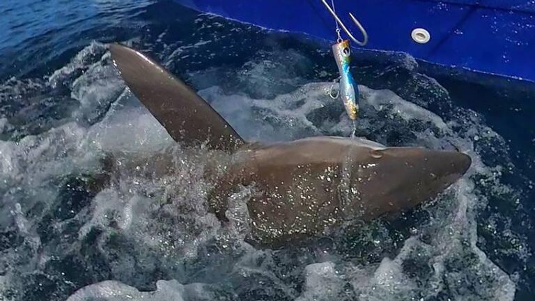 Лучшая рыбалка в России: где найти рекордный улов