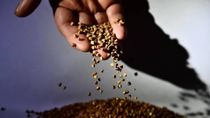 Исследование показало, какие продукты в России подешевели сильнее всего