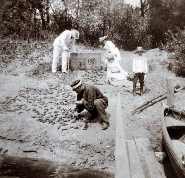 &laquo;Едим каких-то инфузорий&raquo;