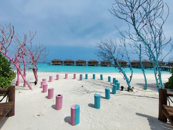 Летом &mdash; на Мальдивы: что там сейчас интересного для россиян