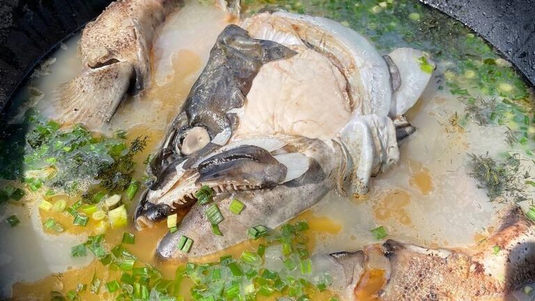 Лучшая рыбалка в России: где найти рекордный улов