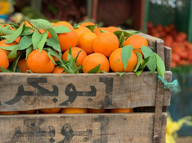 России грозит дефицит цитрусовых: соседи в разы снизили поставки