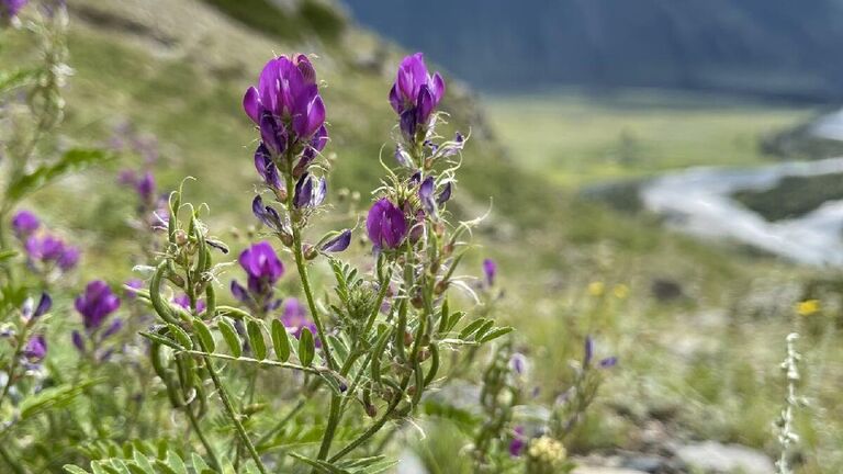 Лучшая рыбалка в России: где найти рекордный улов