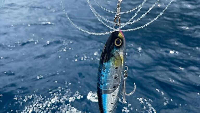 Лучшая рыбалка в России: где найти рекордный улов