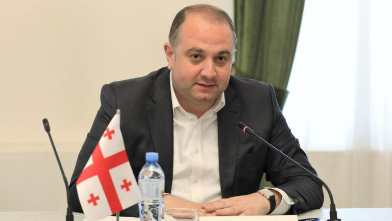 Глава Минобороны Грузии удивился решению США перенести совместные учения