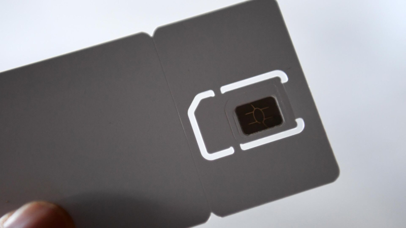 В Госдуму внесли проект об обязательной сдаче биометрии при въезде в Россию