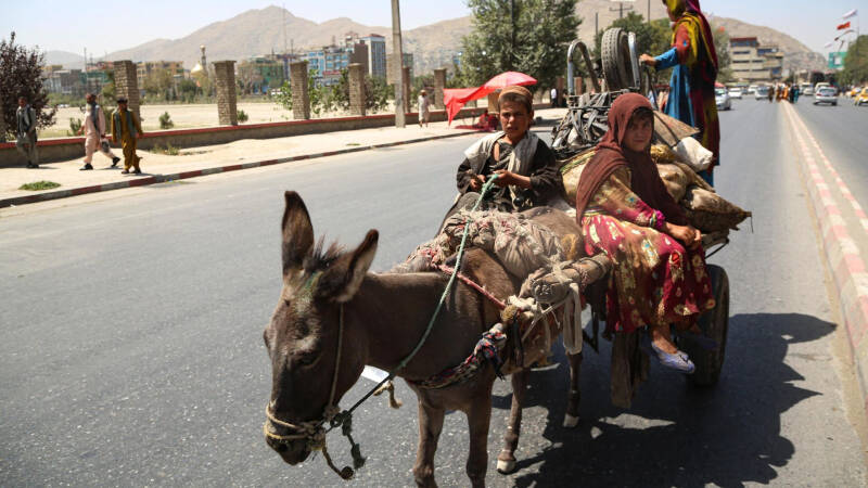 Глава политбюро "Талибана"* отметил улучшение отношений с Россией