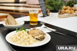 Дети участников СВО будут обедать в свердловских школах бесплатно  