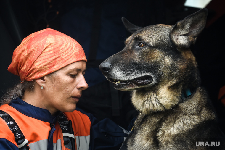 Во второй день под завалами в Нижнем Тагиле не нашли живых людей: фоторепортаж