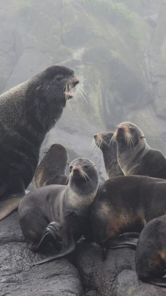 Чудеса на краю света. Зачем туристы едут на Курилы