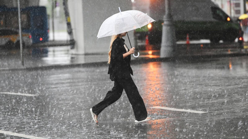 В Подмосковье в субботу ожидается дождь с грозой