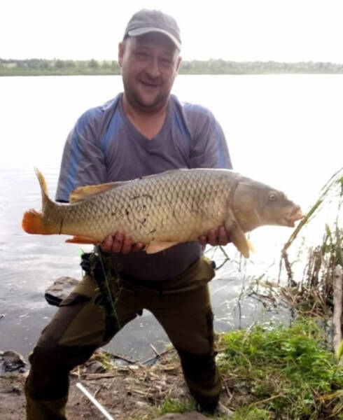 Рыбак выловил карпа-гиганта из челябинской реки. Фото