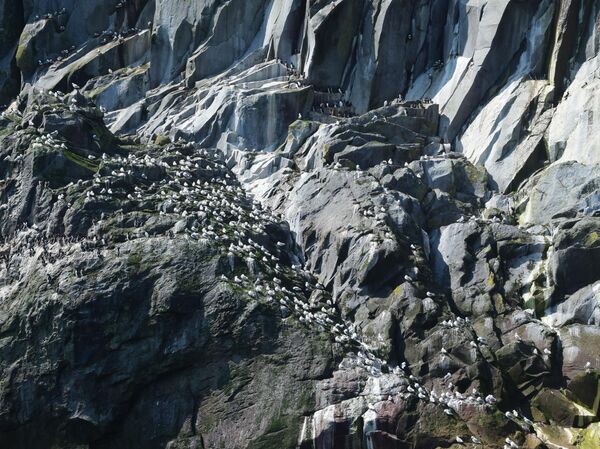 Чудеса на краю света. Зачем туристы едут на Курилы